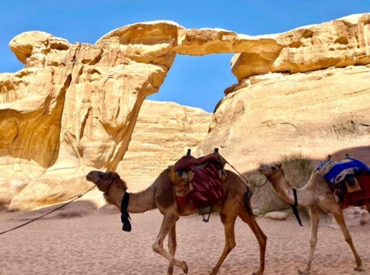 Desert Star Camp ワディ ・ラム エクステリア 写真